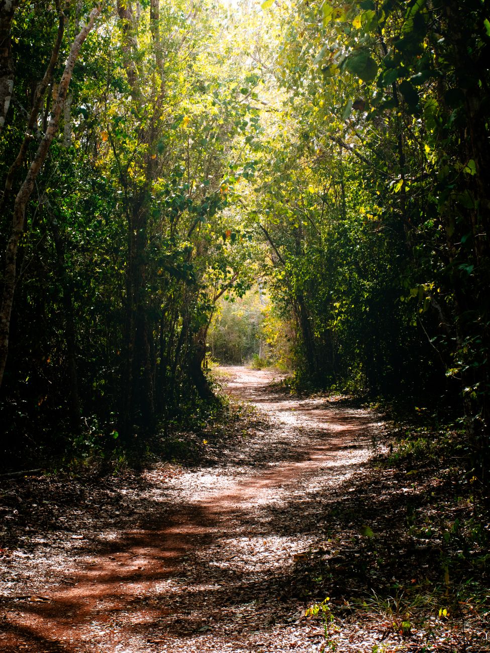 Riviera Maya Highway Route